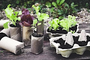 Imagem principal de Home Harvest - Thrifty Gardening with My Green Garden