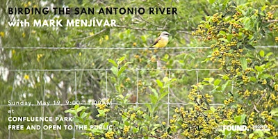 Imagen principal de Birding the San Antonio River with Mark Menjívar