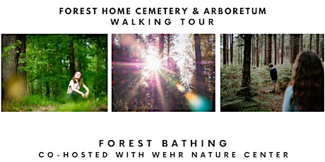 Walking Tour: Forest Bathing