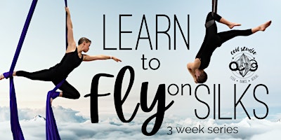 Learn to Fly on Silks primary image