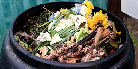 Imagem principal do evento Worm farming and composting - April 2024