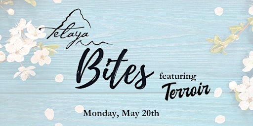 Imagem principal do evento Telaya Bites featuring Terroir