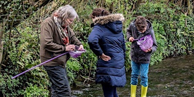 Primaire afbeelding van Riverflies Safari