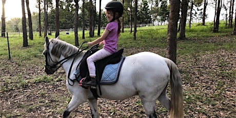 45min Individual Holiday Horse Experience (5yrs+) primary image