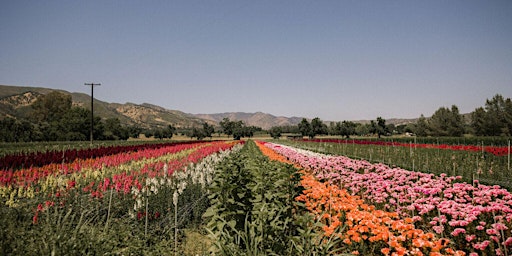 Primaire afbeelding van Rustic Ramble-The Capay Valley Farm and Garden Tour