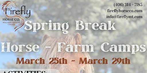 Imagem principal do evento Spring Break Horse & Farm Camp