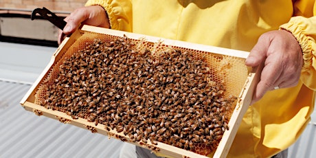 Honey Flight Workshop with Honey Fingers primary image