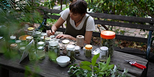 Hauptbild für Home Harvest -  Bush Tucker and Bush Foods in a Habitat Garden.