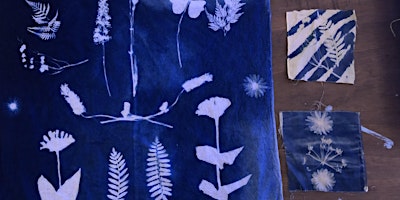 Imagem principal de Cyanotype