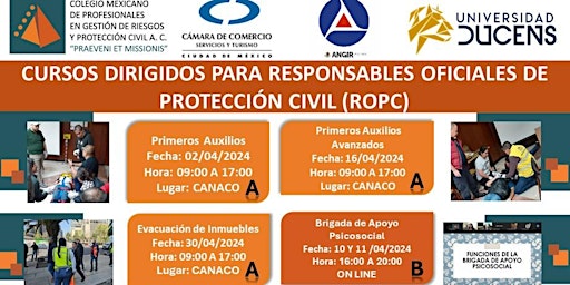 Imagen principal de BRIGADA DE APOYO PSICOSOCIAL