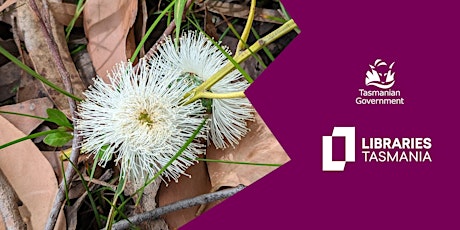 School Holiday Program: Felt and Basket Making at Rosny Library