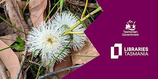 Hauptbild für School Holiday Program: Felt and Basket Making at Rosny Library