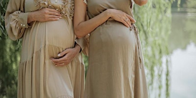 Primaire afbeelding van Pregnant Pause Day Retreat