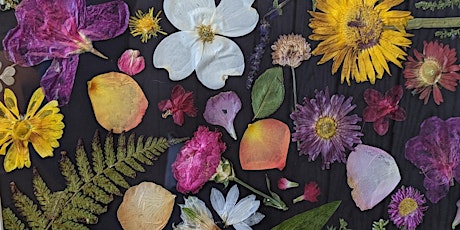 Pressed Flower Workshop