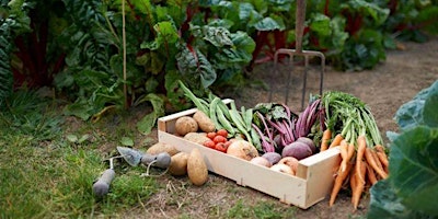 Hauptbild für Home Harvest - Getting Ready for the Summer Harvest (Part 1)