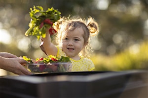 Home Harvest - Getting Ready for the Summer Harvest (Part 2)  primärbild