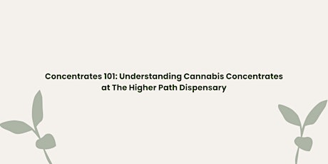 Concentrates 101: Understanding Cannabis Concentrates at the Higher Path