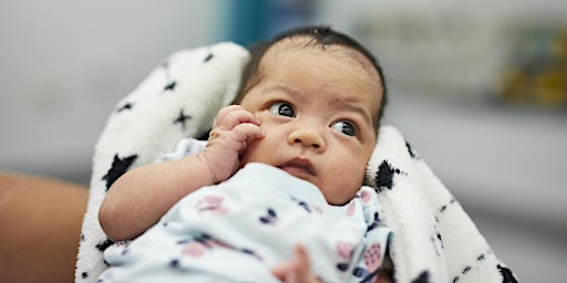 Imagem principal do evento Born too soon: improving preterm birth pregnancy care across Aotearoa