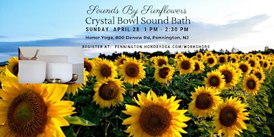 Immagine principale di Sounds By Sunflowers Crystal Bowl Sound Bath 
