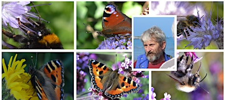 Imagen principal de Gardening for Pollinators with Charlie Heasman