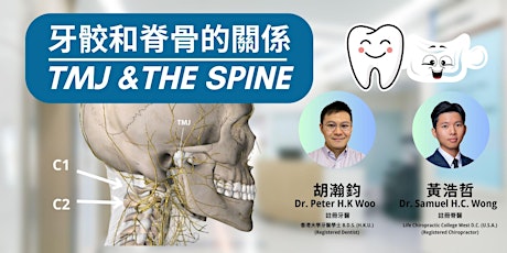 牙骹和脊骨的關係 TMJ &THE SPINE