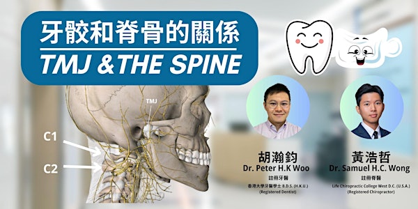 牙骹和脊骨的關係 TMJ &THE SPINE