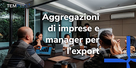 Aggregazioni di imprese e manager per l'export | TEM MEETUP