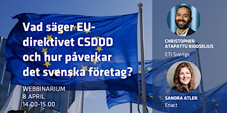 Vad säger EU-direktivet CSDDD och hur påverkar det svenska företag? primary image