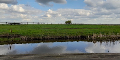 Hauptbild für Hardlopen en yoga bij de weilanden van Eemnes