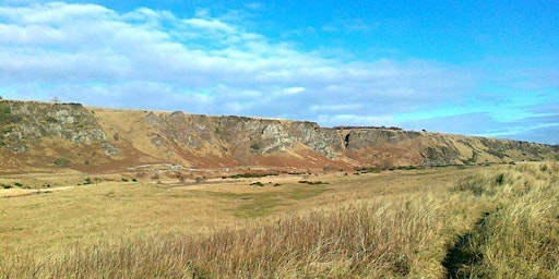 Immagine principale di St Cyrus Rocks and Nature Ramble 