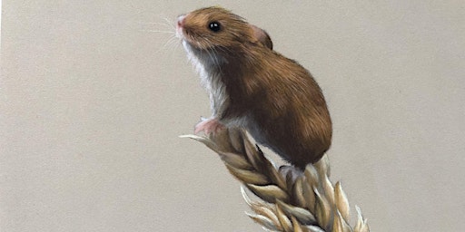 Pastel Pencils Workshop - Field Mouse and Wheat Heads