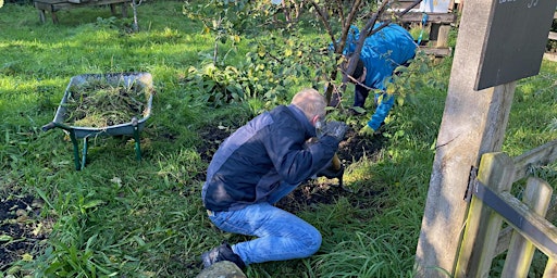 Primaire afbeelding van Community Growing Volunteer Session