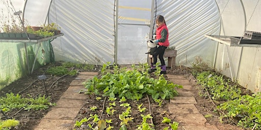 Hauptbild für Community Growing Volunteer Session