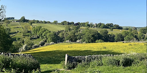 Camping at Lost in the Hills Festival primary image