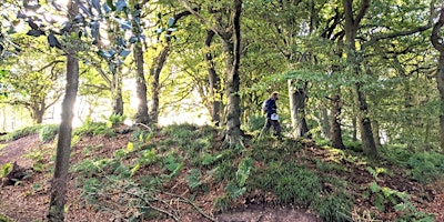 Hauptbild für Woodland Wellbeing Day