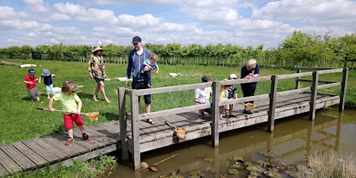 Immagine principale di Abberton Pond Dipping 