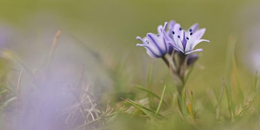 Image principale de A  walk south along the Berwickshire coastal path at Eyemouth