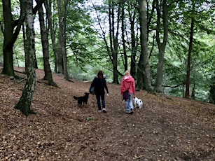 Rainbow Pooch Ramble / Crwydro gyda’r Cŵn a Rainbow  (Cardiff and the Vale)