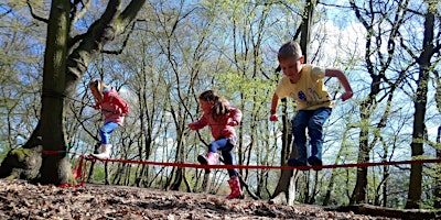 Hauptbild für Belfairs Family Forest Afternoon