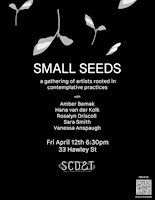 Primaire afbeelding van SMALL SEEDS:   a gathering of artists rooted in contemplative practices