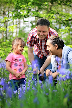 Primaire afbeelding van Belfairs Family Wildlife Workshop: 30 Days Wild(life)