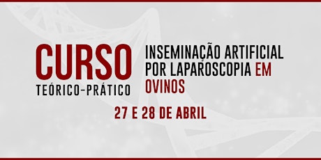 Curso teórico-prático: Inseminação Artificial por laparoscopia em ovinos