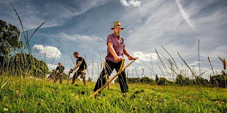 Scything Refresher and Peening Workshop (half day course - PM)
