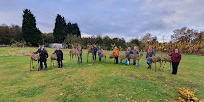 Primaire afbeelding van Life size willow reindeer sculpture - 2 day course