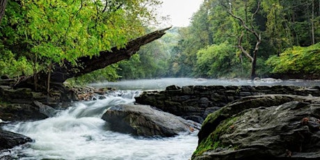 VU PHL & Friends of the Wissahickon