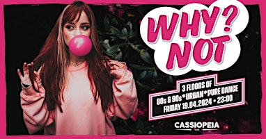 WhyNot Party - Disco, Pop, Indie, Dance, Urban - 3 Floors & Outdoor Area primary image