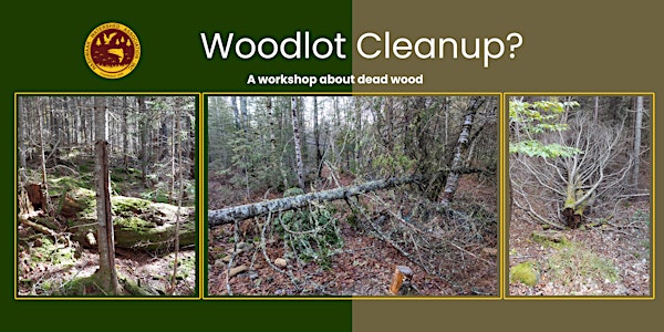 Woodlot Cleanup? A workshop about dead wood.