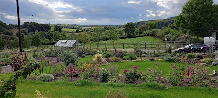 Unwind with Plants, Community Garden Sessions primary image