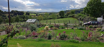 Hauptbild für Unwind with Plants, Community Garden Sessions