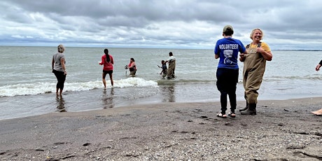 Teachers on the Estuary